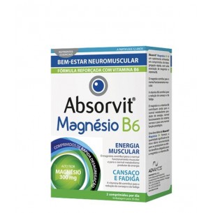 Absorvit Magnésio B6 60 comprimidos